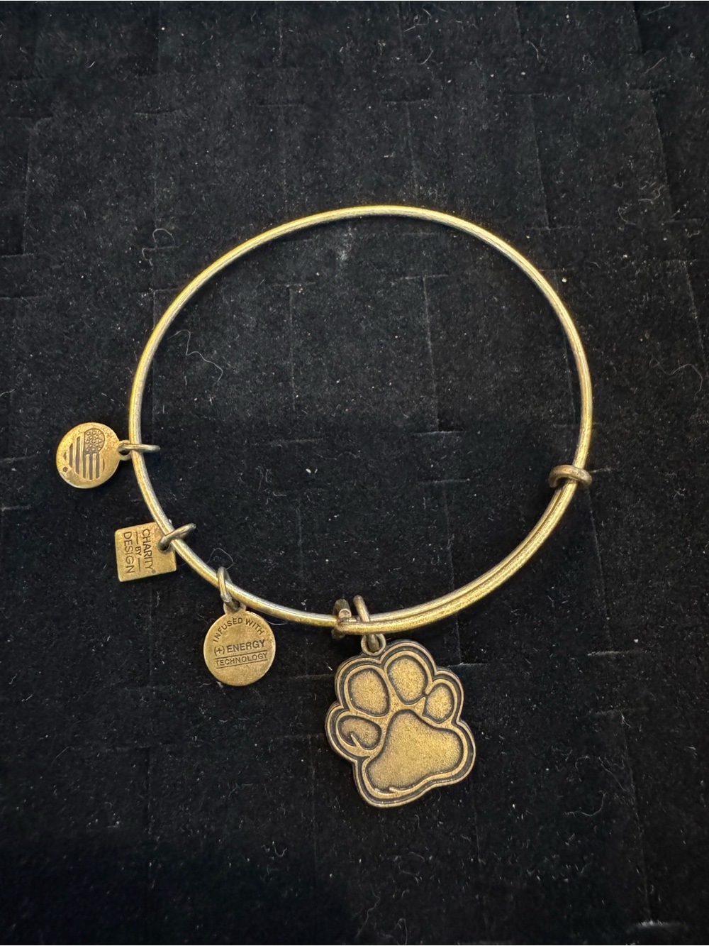 Alex and Ani Paw Print Charm Bangle Bracelet Charity by Design Gold Tone 2015